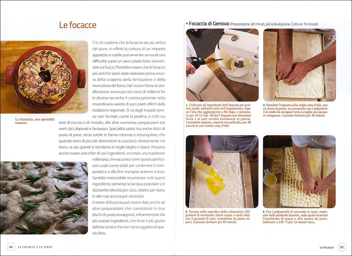 Pane, pizze e focacce