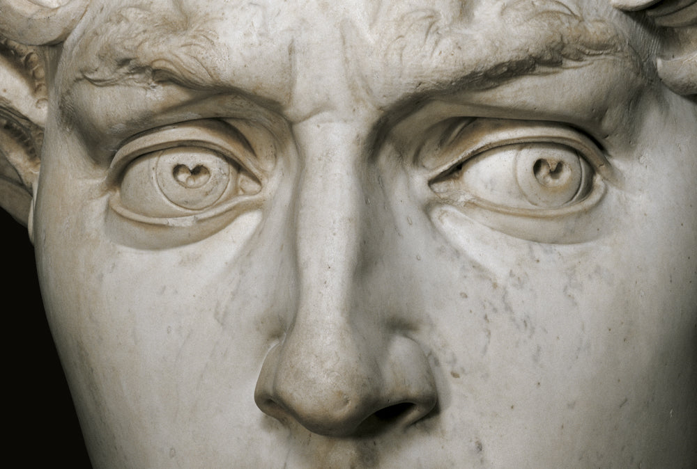 Michelangelo's David