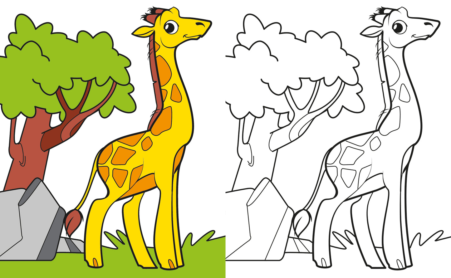 Animali