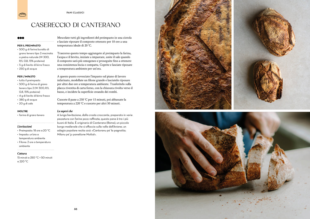 NEL FORNO DI CASA. LE MIE RICETTE PER TUTTI. 186 FOCACCE, PIZZE, PANI E DOLCI PER METTERE LE MANI IN PASTA