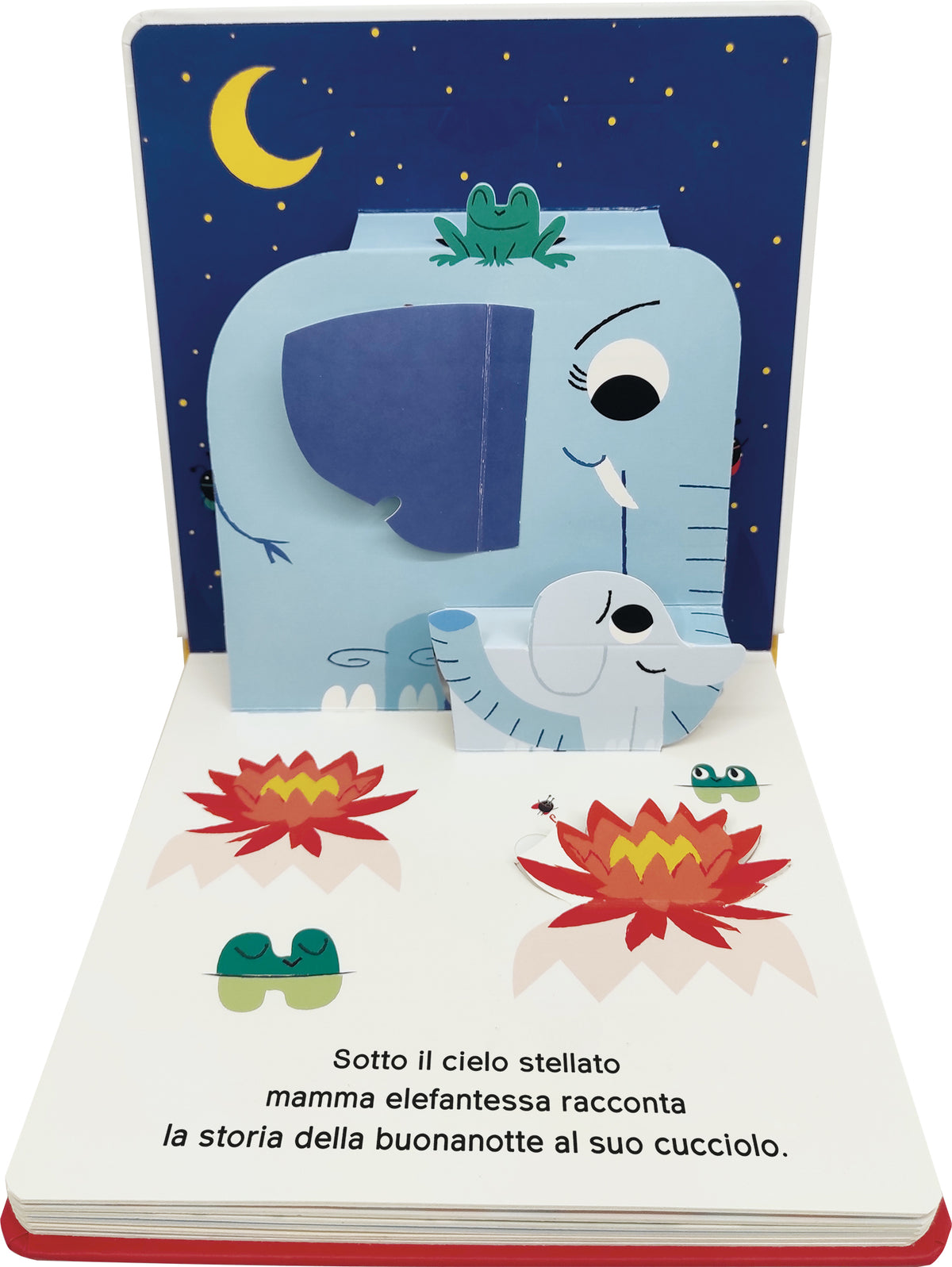 Animali selvaggi. Un libro con pop-up e finestrelle