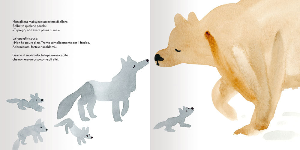 L'orso più tenero
