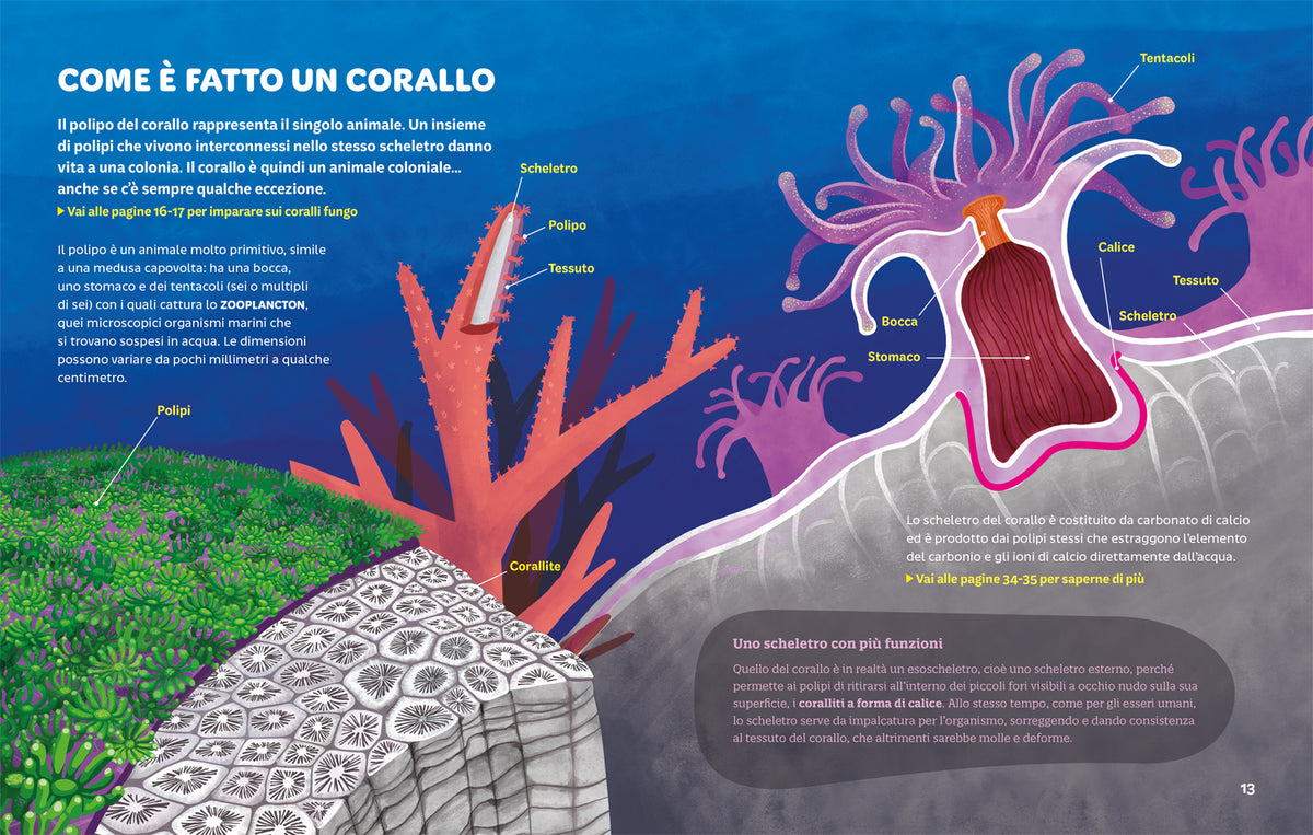 Foreste coralline. Un tesoro marino da preservare