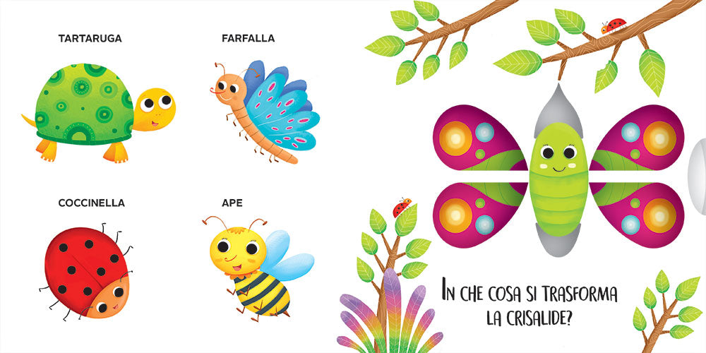 Gli Animali del bosco e del giardino