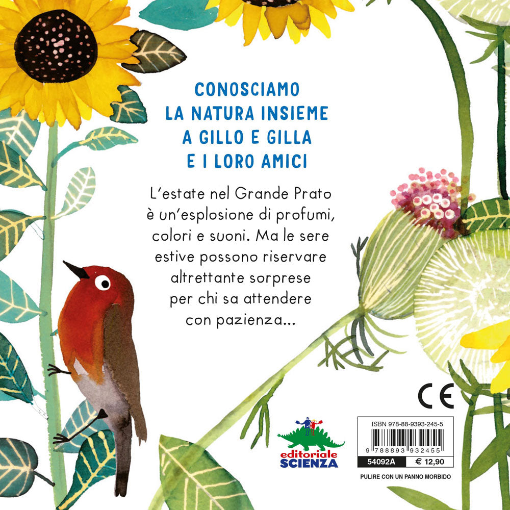 Spettacolo a sorpresa