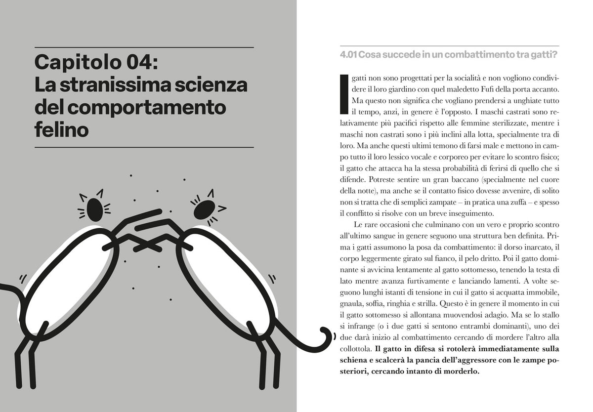 Gattologia. La stramba e meravigliosa scienza dietro al nostro micio