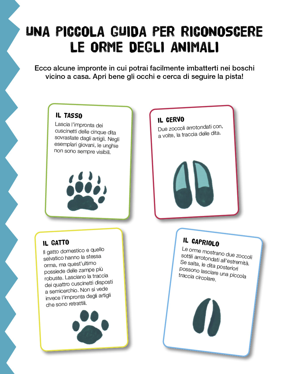 Leggiamo i segni della natura. Manuale del giovane esploratore