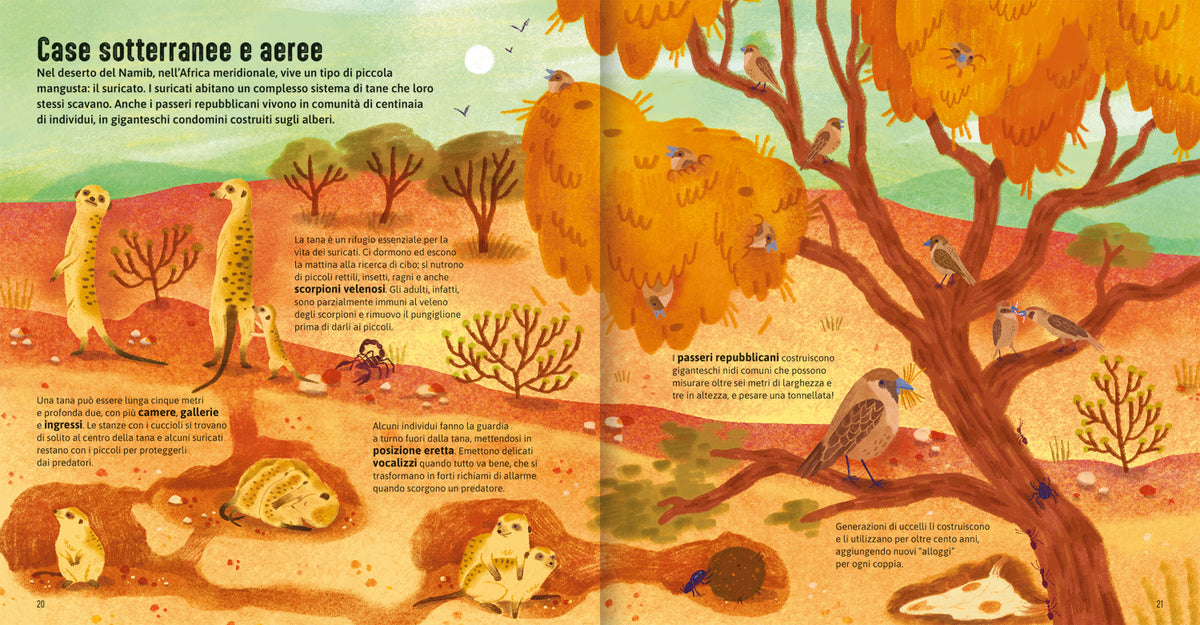 Case degli animali - Terra. Esplora gli habitat della ntura