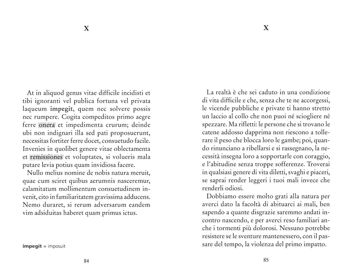 De Tranquillitate Animi - La tranquillità dell'anima. Con testo latino a fronte e note linguistiche