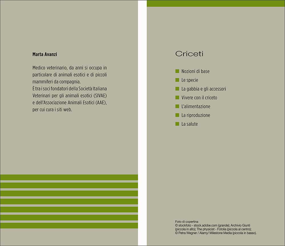 Criceti. Caratteristiche - Comportamento - Allevamento - Riproduzione - Alimentazione - Igiene - Salute