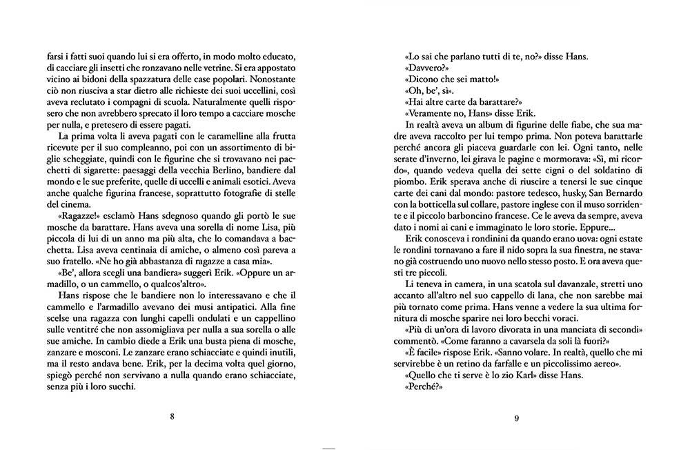 Il volo delle rondini