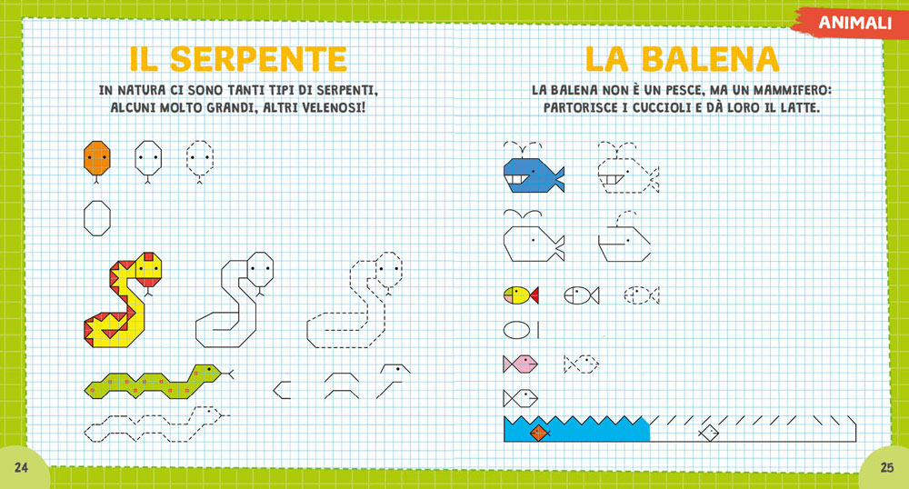 Superlibro delle cornicette