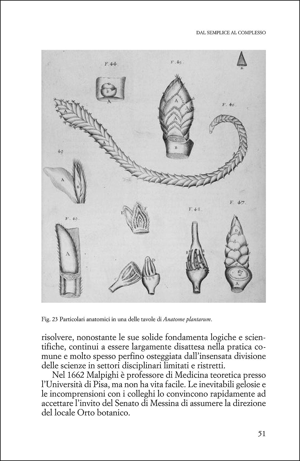 Uomini che amano le piante. Storie di scienziati del mondo vegetale