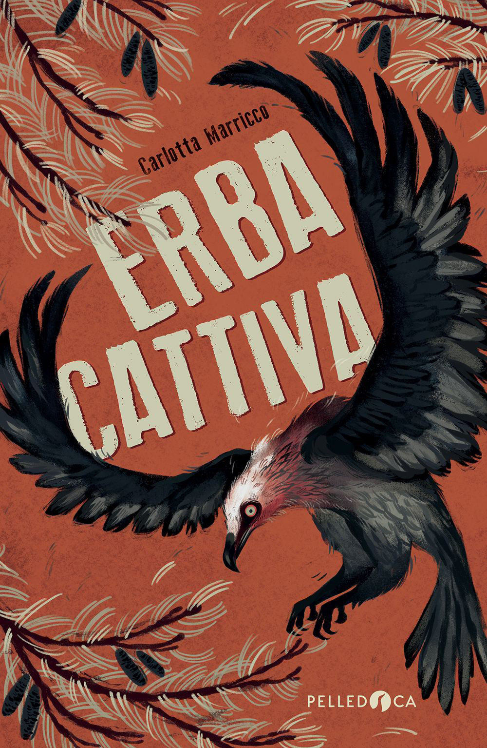 Erba cattiva