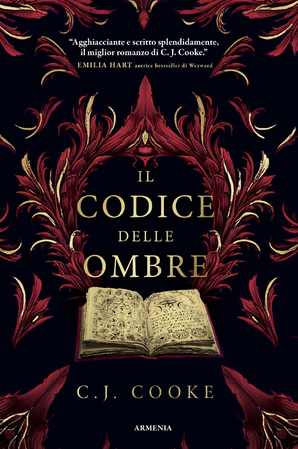 Il codice delle ombre