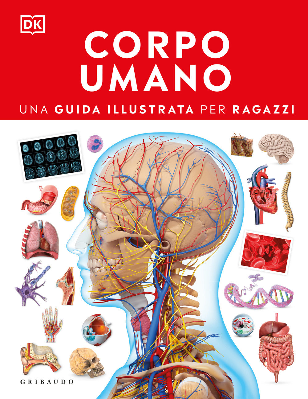 Corpo umano. Una guida illustrata per ragazzi