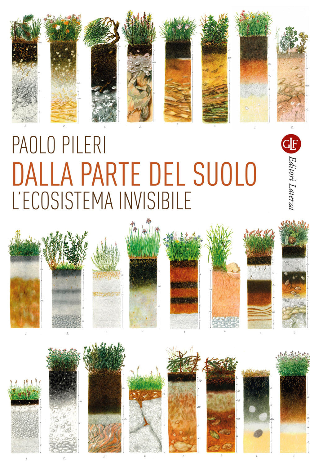 Dalla parte del suolo. L'ecosistema invisibile