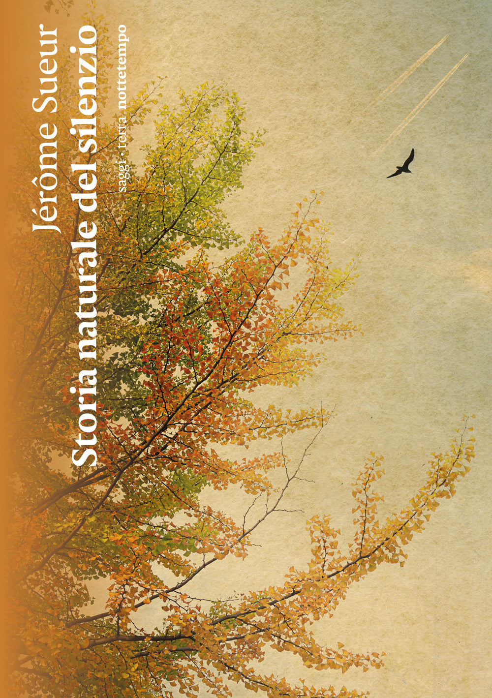 Storia naturale del silenzio