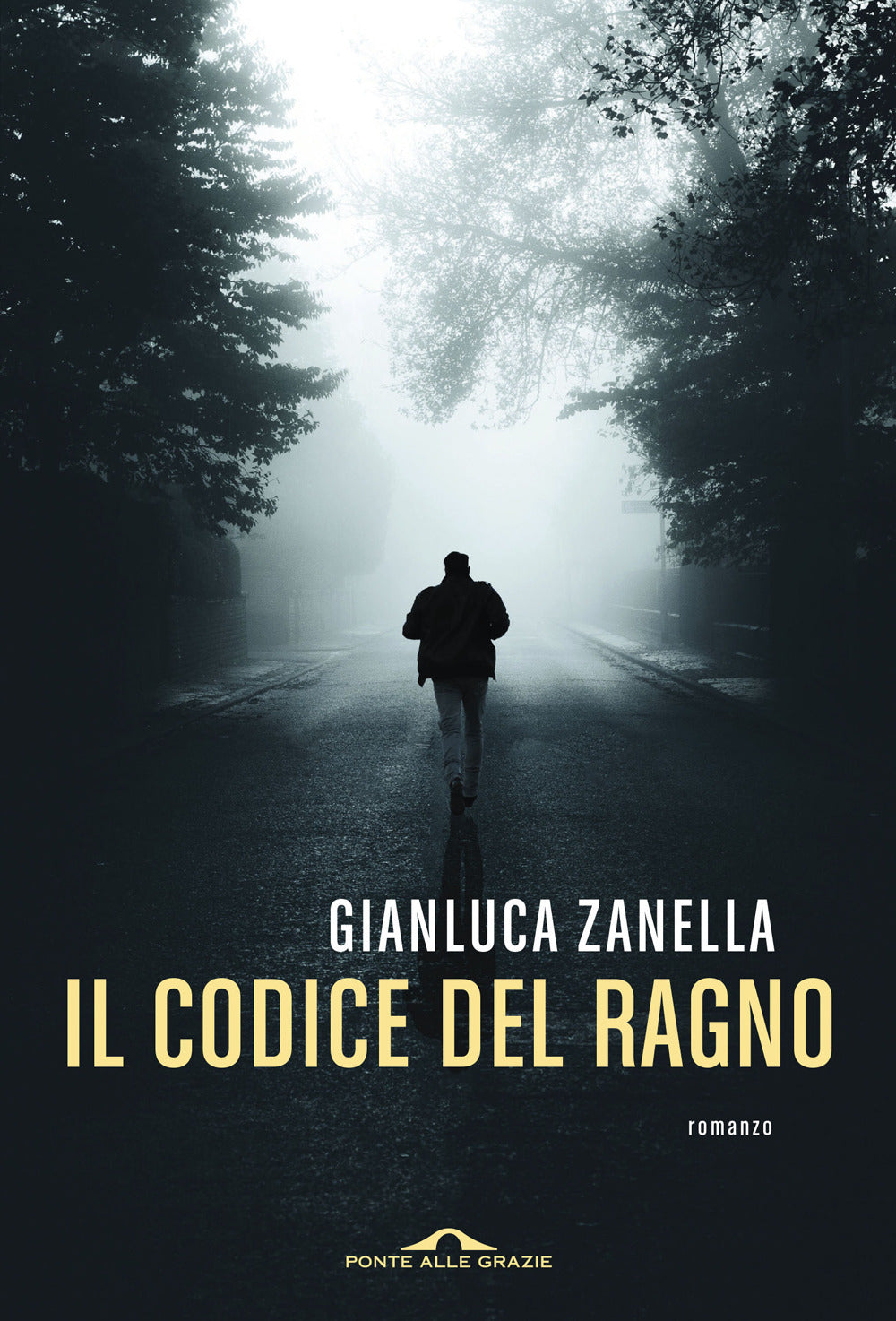 Il codice del Ragno