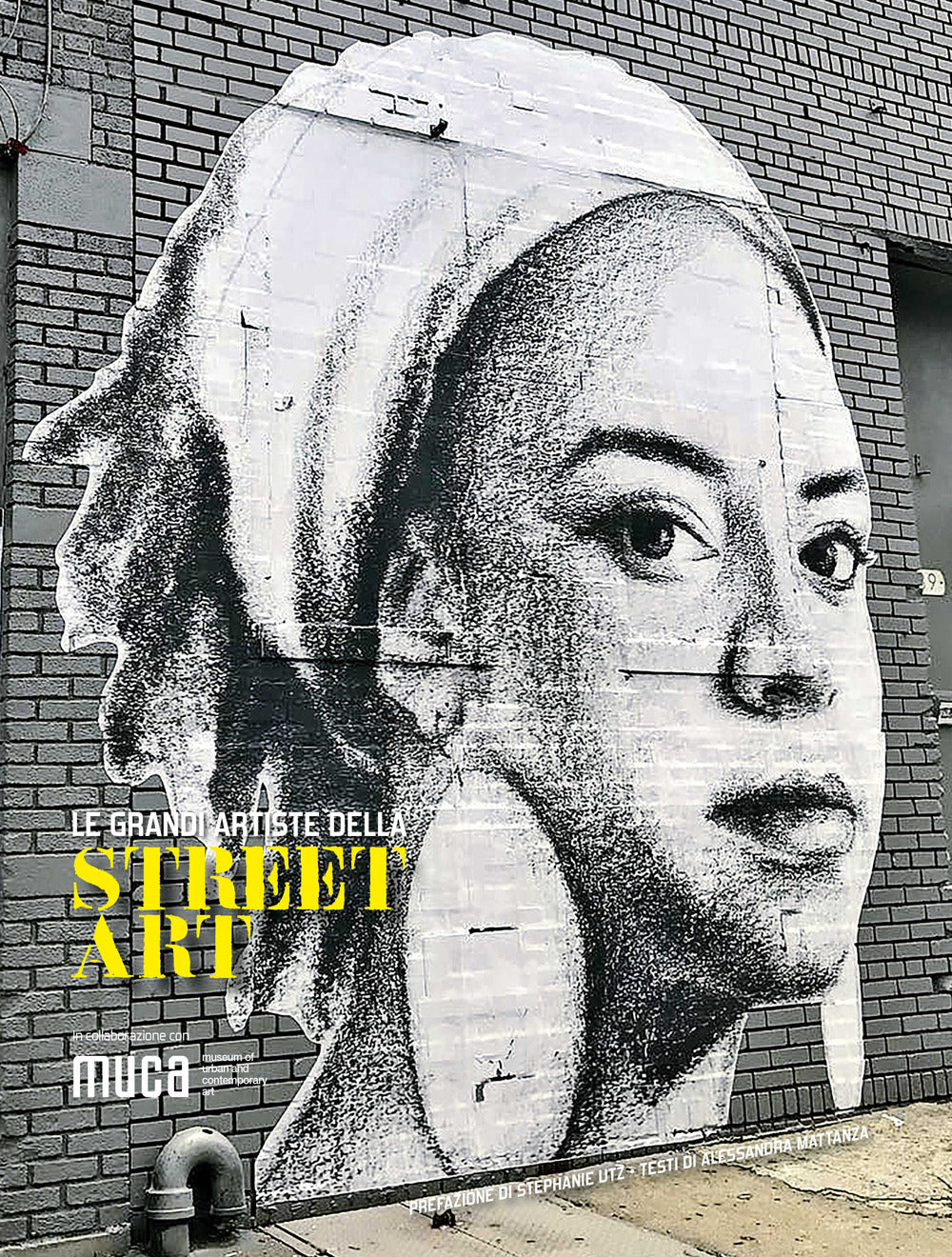 Le grandi artiste della street art. Ediz. a colori.