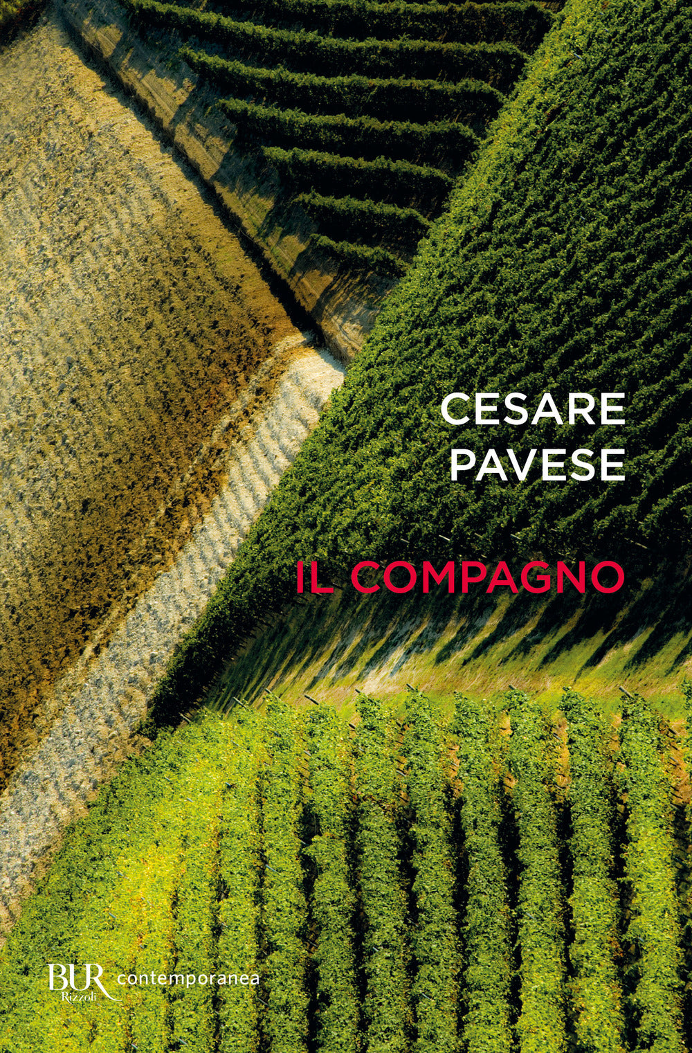 Il compagno.