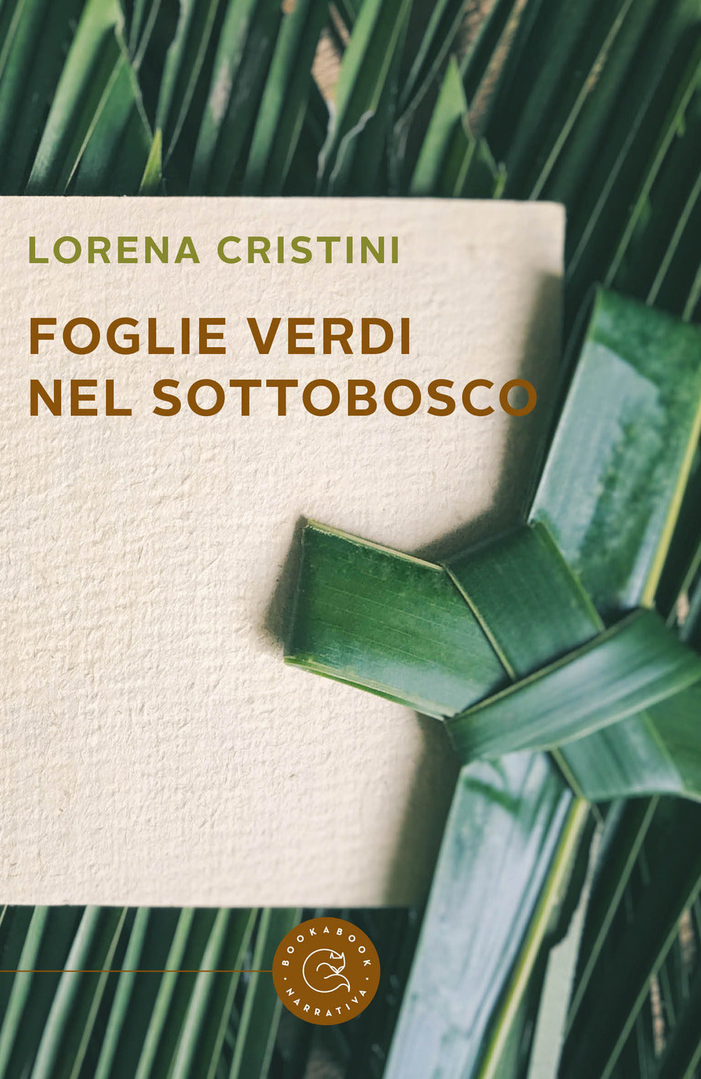 Foglie verdi nel sottobosco.