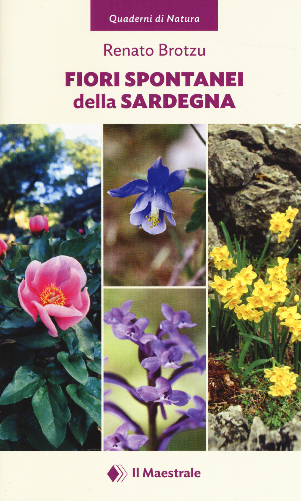 Fiori spontanei della Sardegna. Ediz. illustrata.