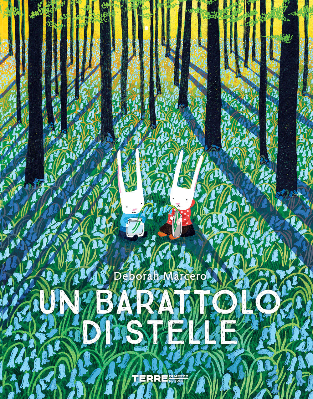 Un barattolo di stelle. Ediz. a colori.