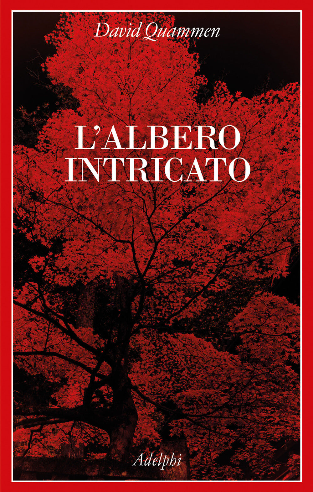 L'albero intricato.
