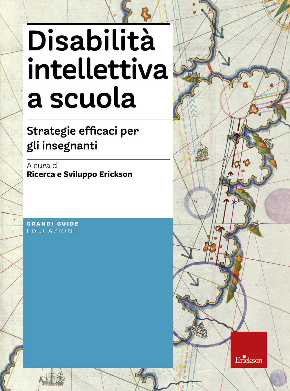 Disabilità intellettiva a scuola. Strategie efficaci per gli insegnanti.