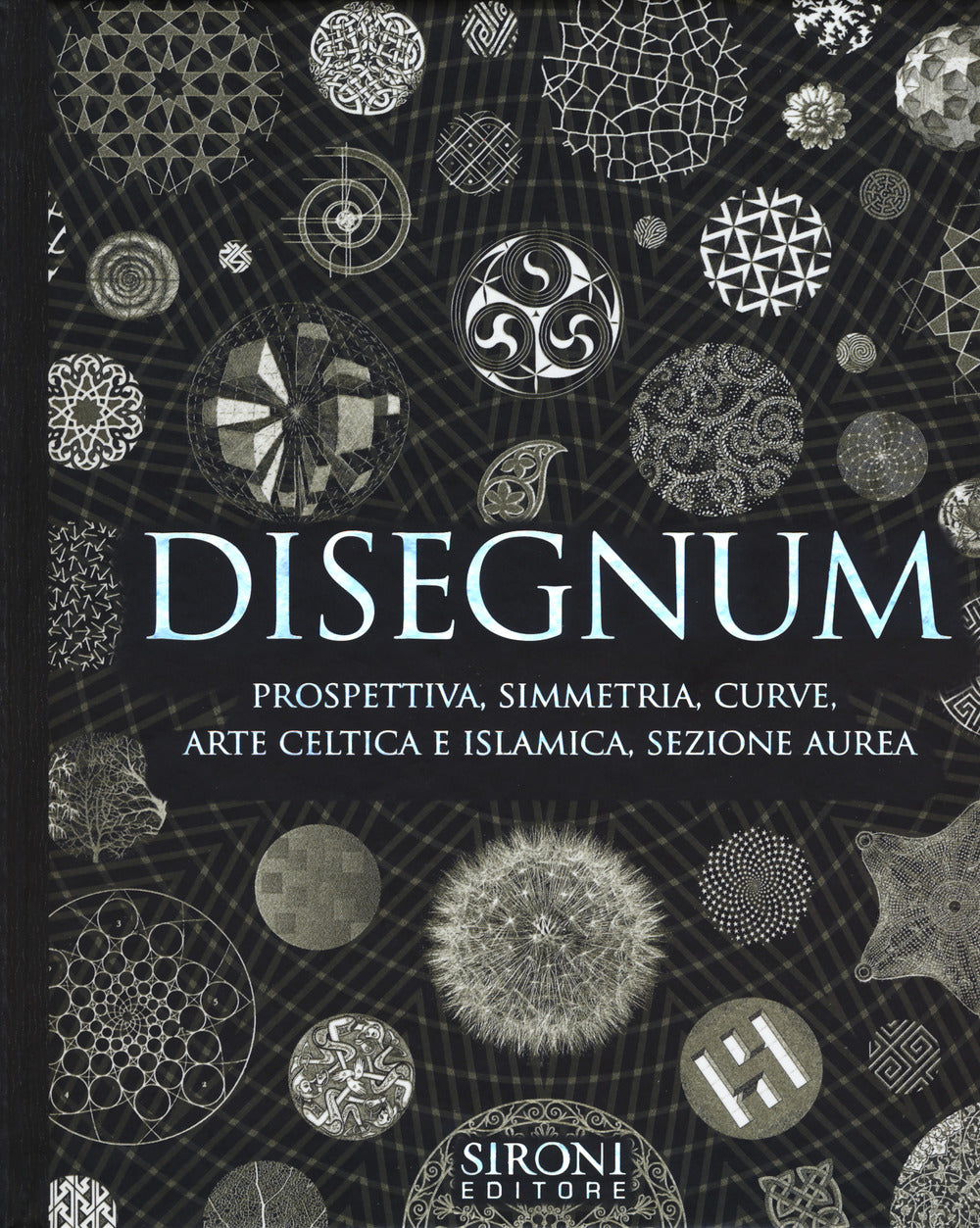 Disegnum. Prospettiva, simmetria, curve, arte celtica e islamica, sezione aurea.