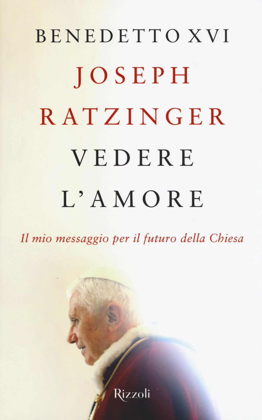 Vedere l'amore. Il mio messaggio per il futuro della Chiesa.