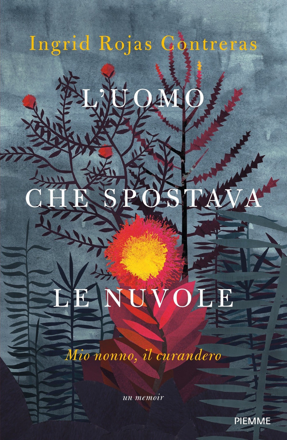 L'uomo che spostava le nuvole. Mio nonno, il curandero.