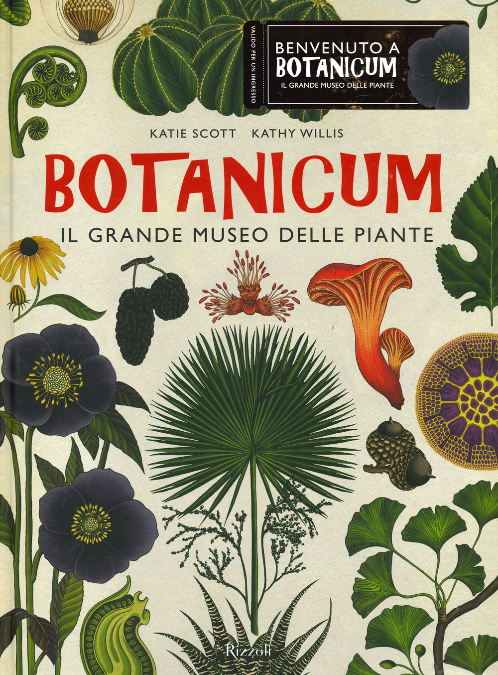 Botanicum. Il grande museo delle piante. Ediz. a colori.
