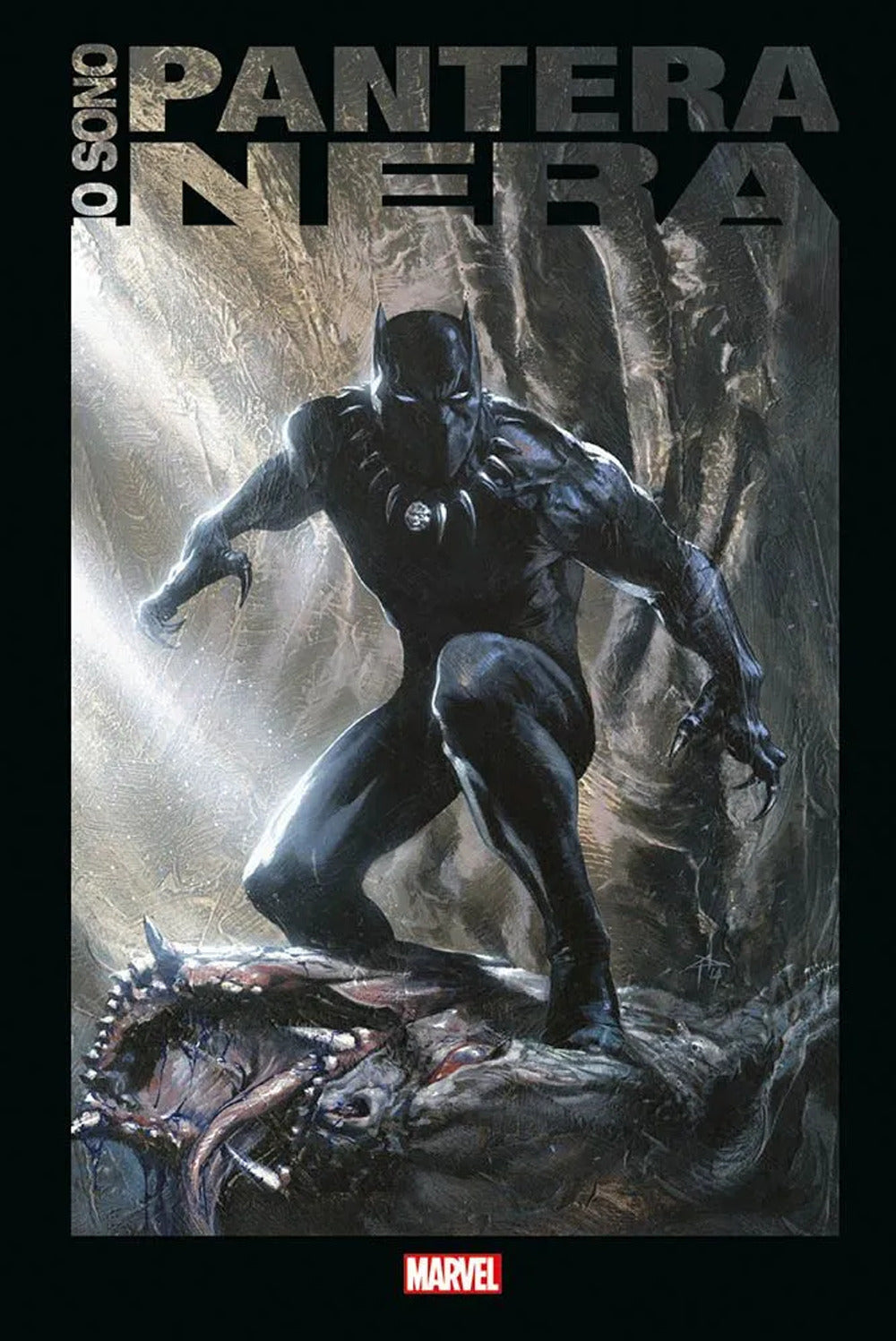 Io sono Black Panther. Ediz. anniversario.