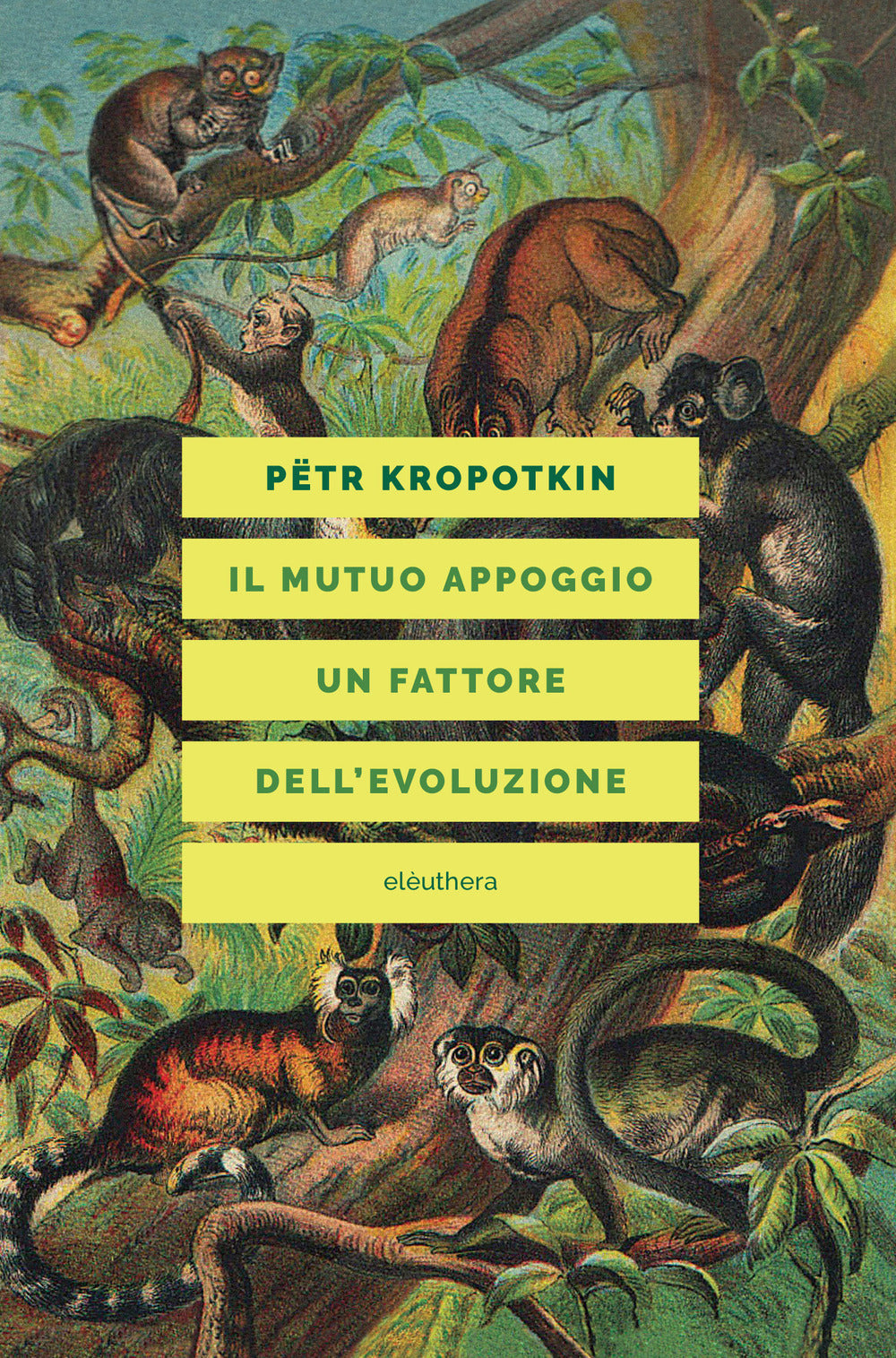 Il mutuo appoggio. Un fattore dell'evoluzione.