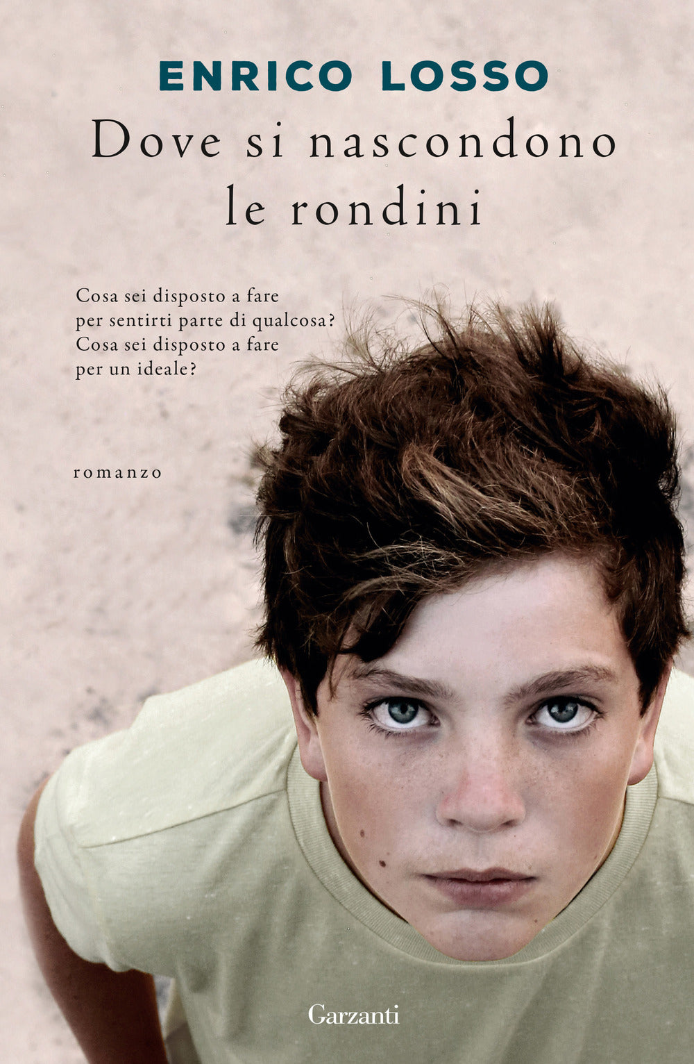 Dove si nascondono le rondini.