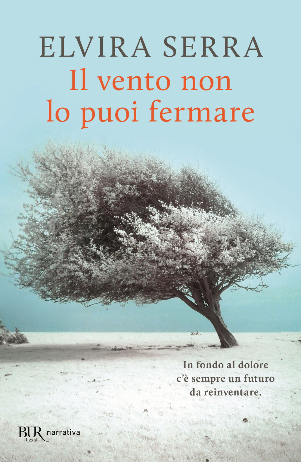 Il vento non lo puoi fermare.