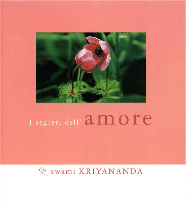 I segreti dell'amore