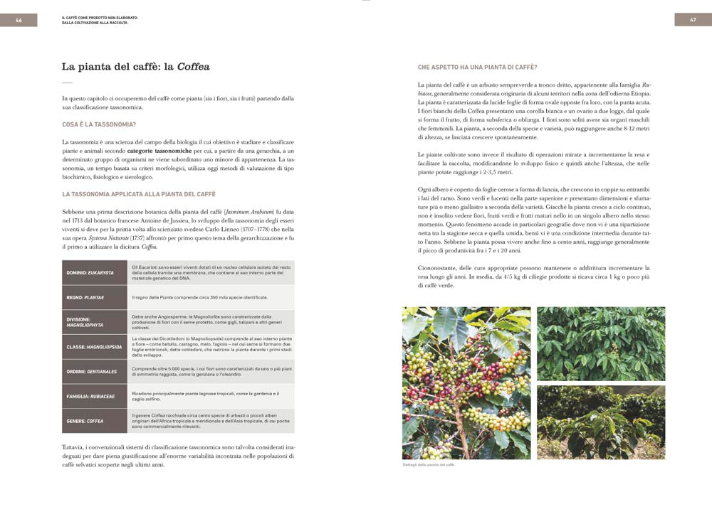Coffee Sapiens. Comprendere per innovare