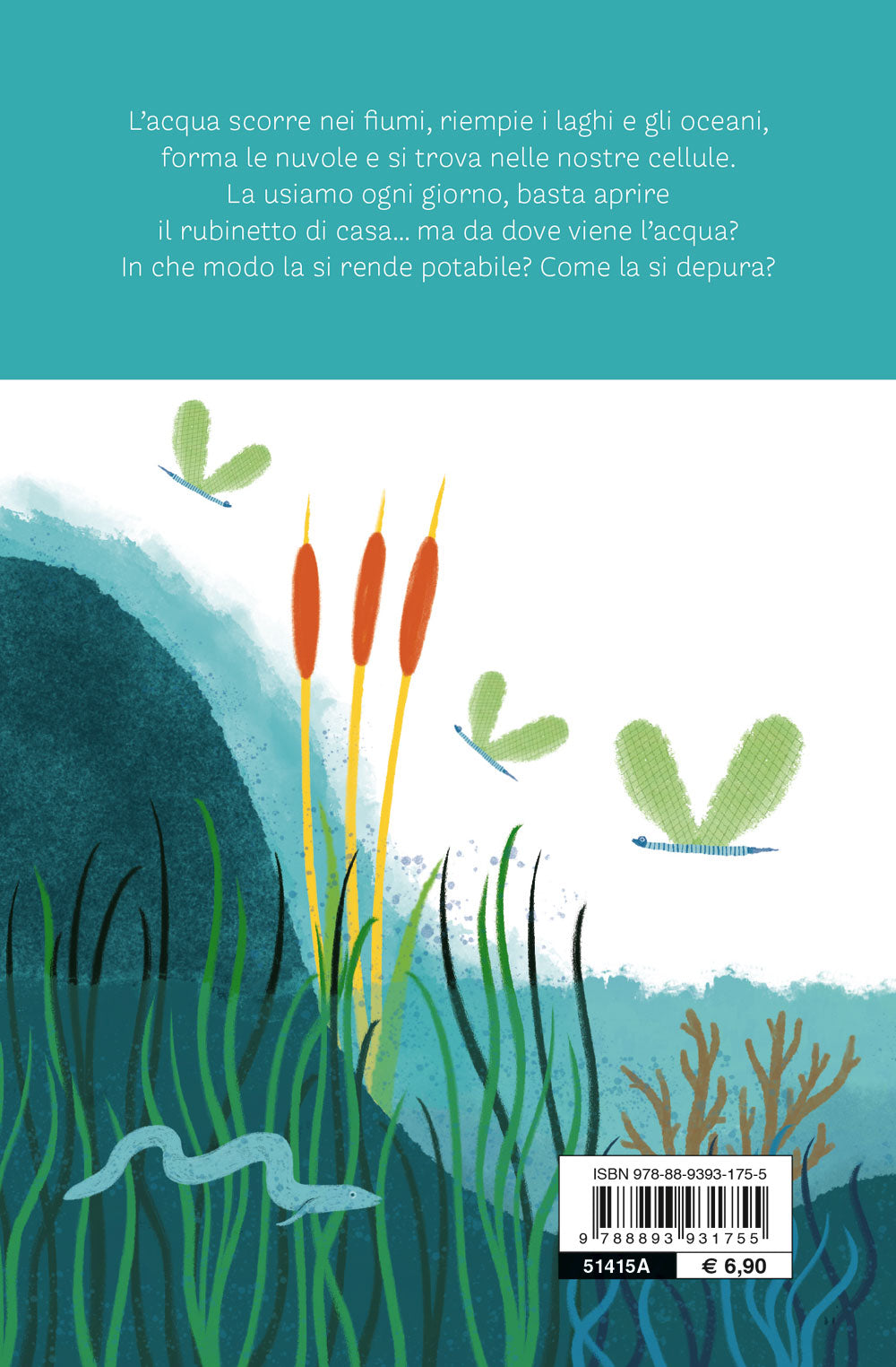 Il ciclo dell’acqua