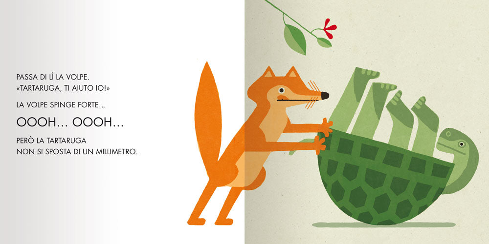Gira la tartaruga!