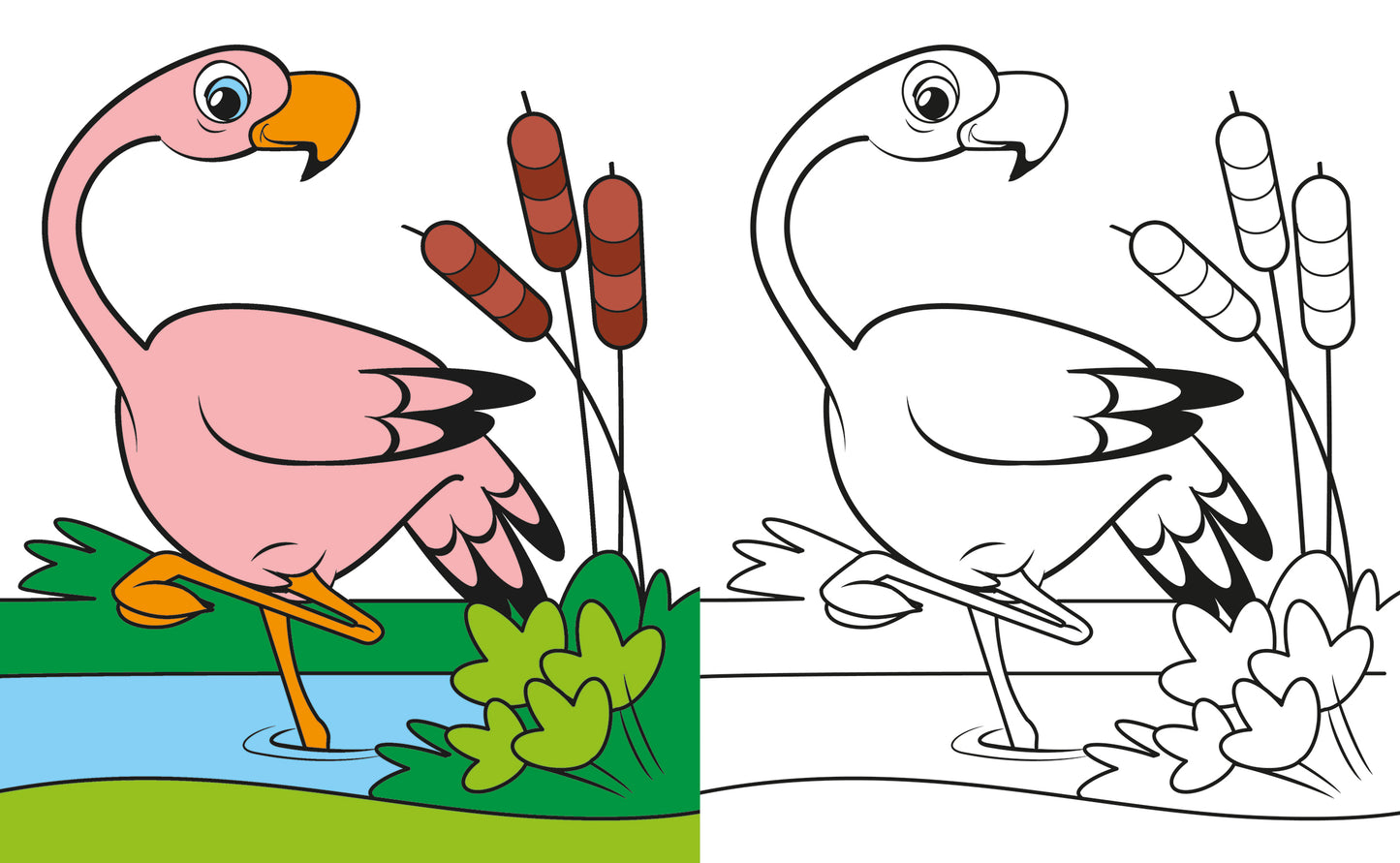 Animali