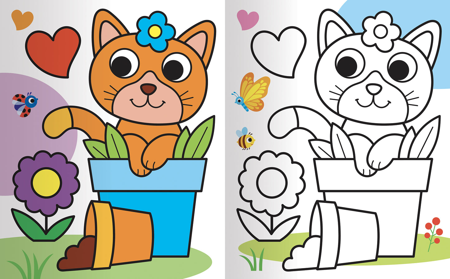 Colorare gli Animali