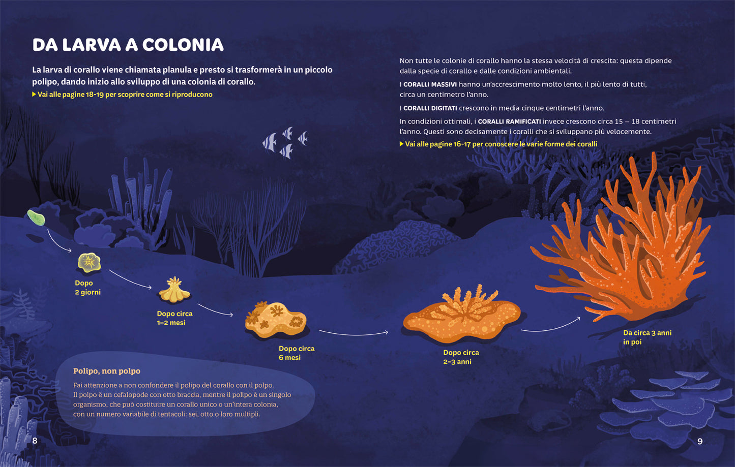 Foreste coralline. Un tesoro marino da preservare