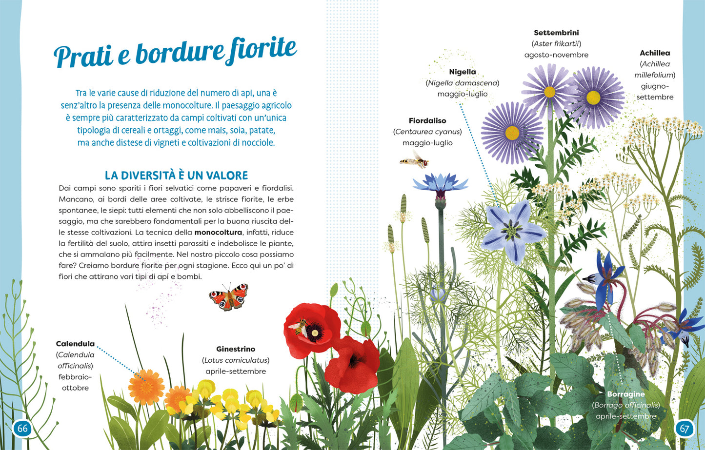 Api e fiori. Coltiviamo la bellezza difendendo la biodiversità