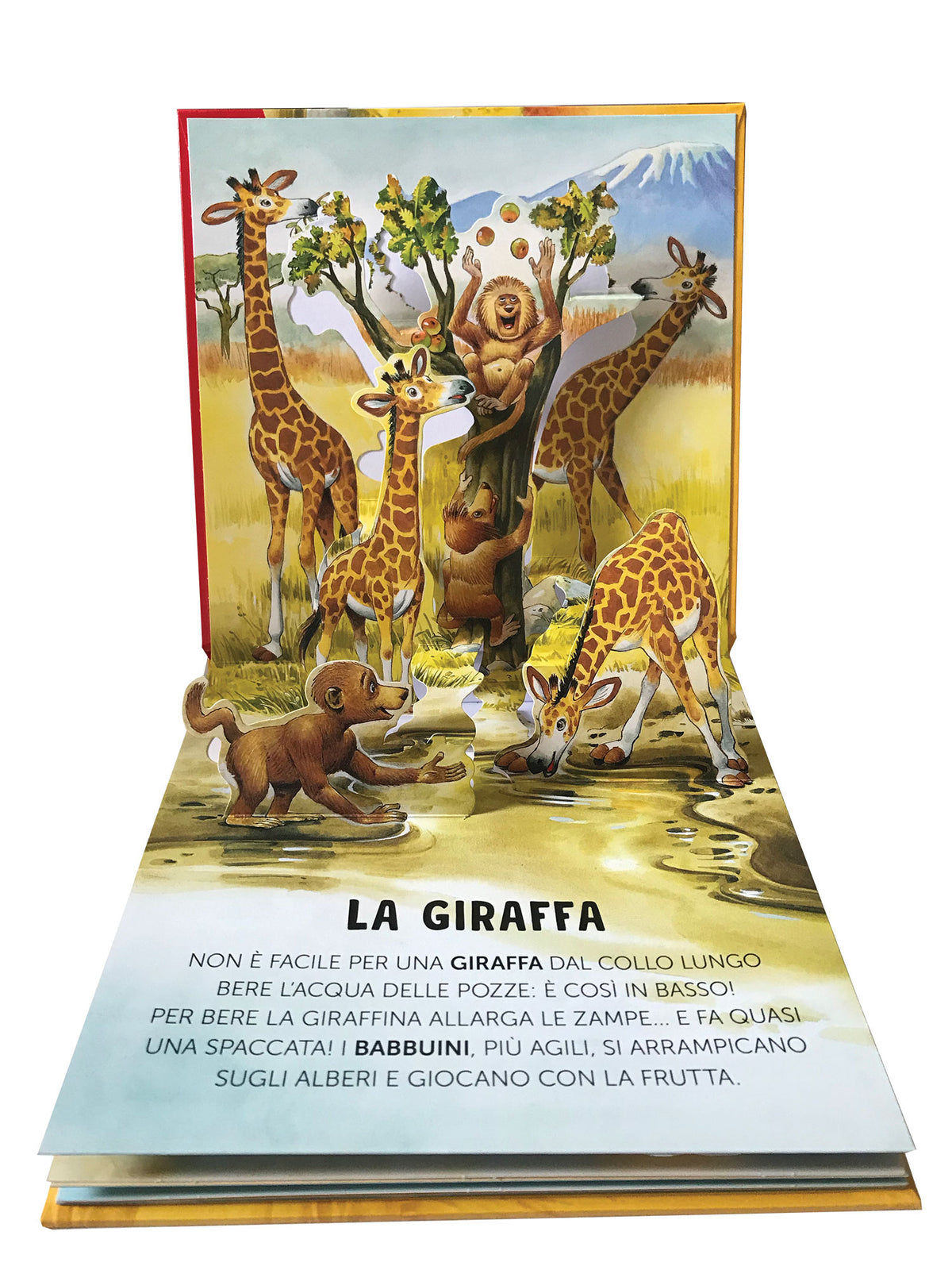 Animali selvaggi