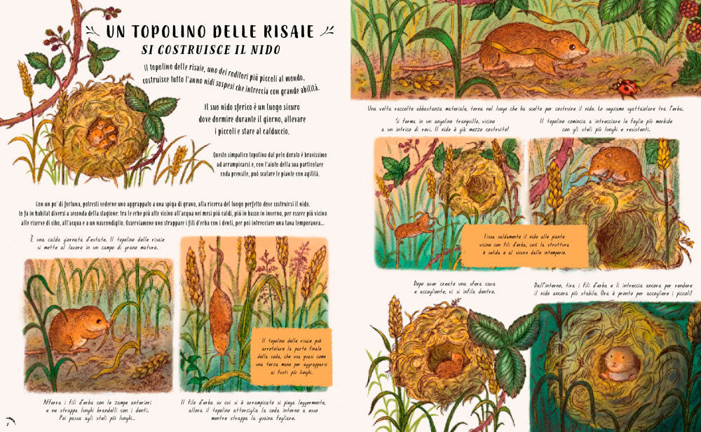 Piano piano... nel piccolo mondo. 20 Storie per fermarti ad ammirare i piccoli incanti della natura