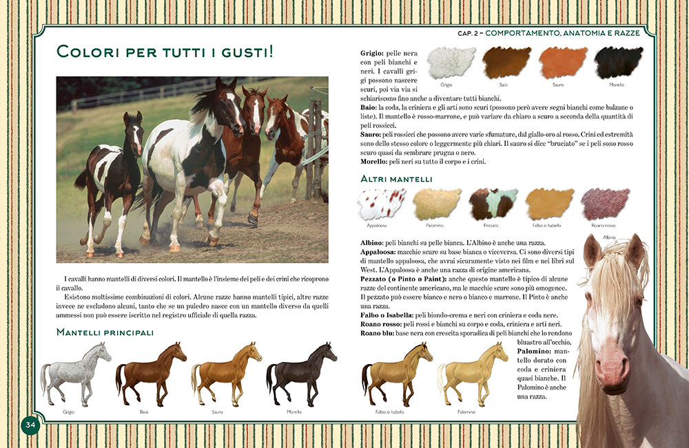 Il grande libro del cavallo