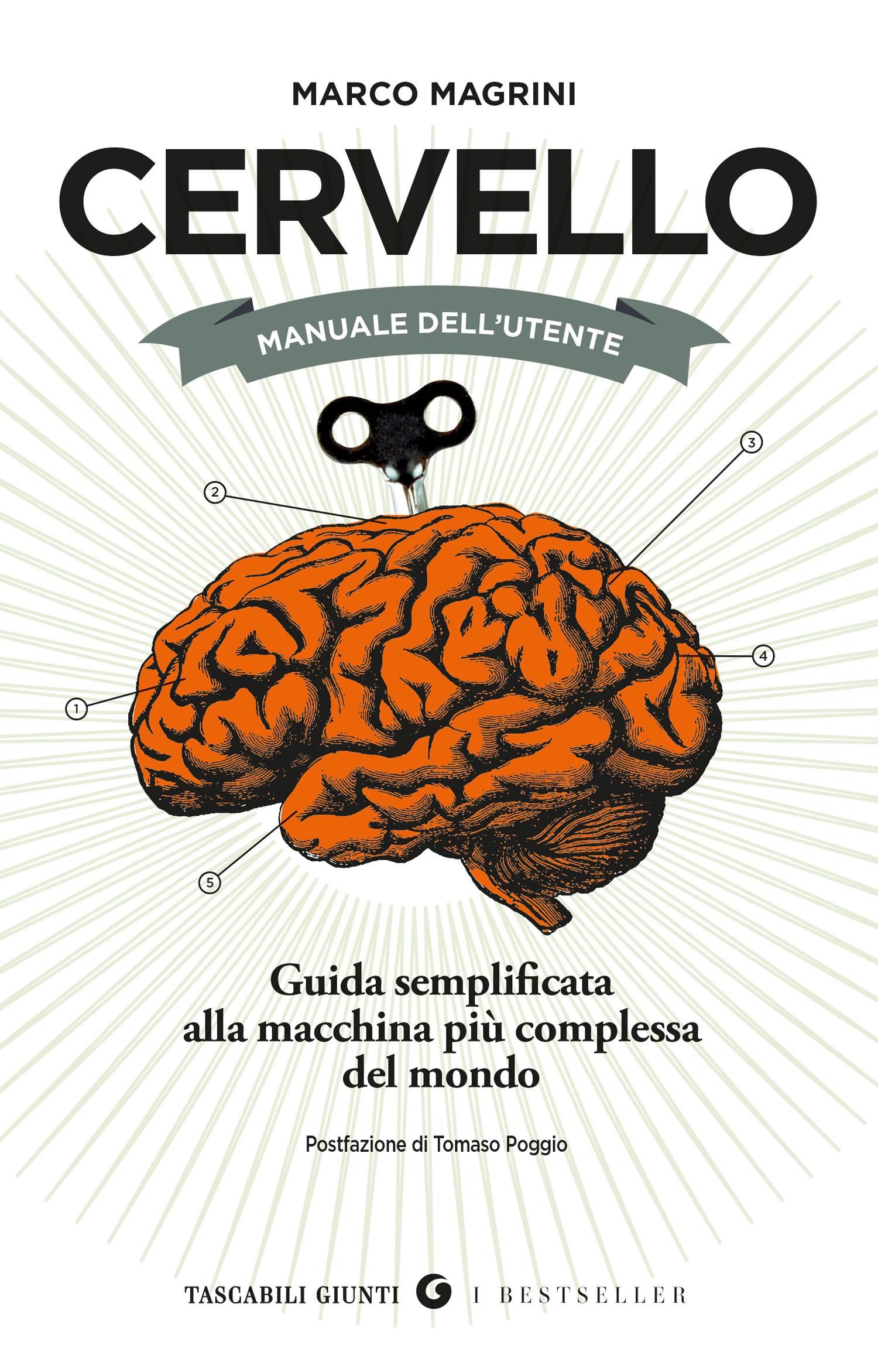 Cervello. Manuale dell'utente. Guida semplificata alla macchina più complessa del mondo